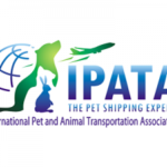 IPATA-Logo-300x225